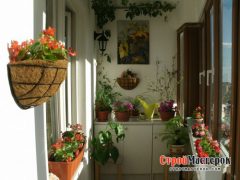 cvety na balkone foto