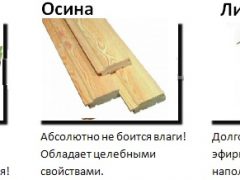 какое дерево лучше для бани